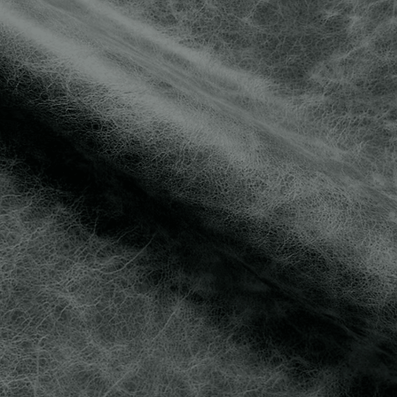 Remini Futura Foresta