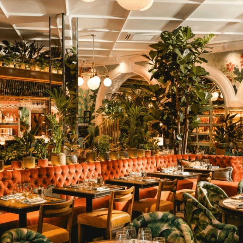 The Ivy Nottingham Brasserie